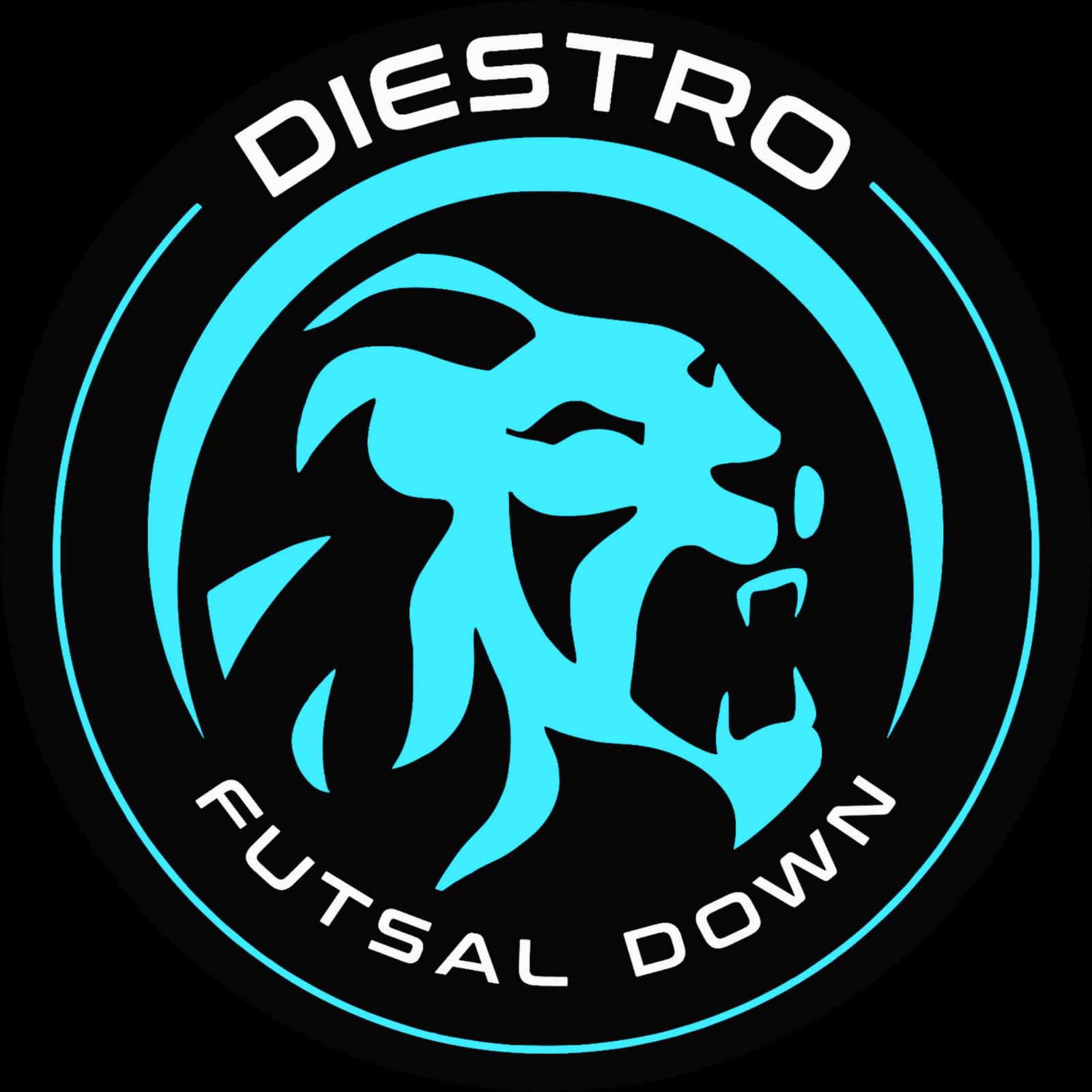 Academia Futsal Down DI Logo